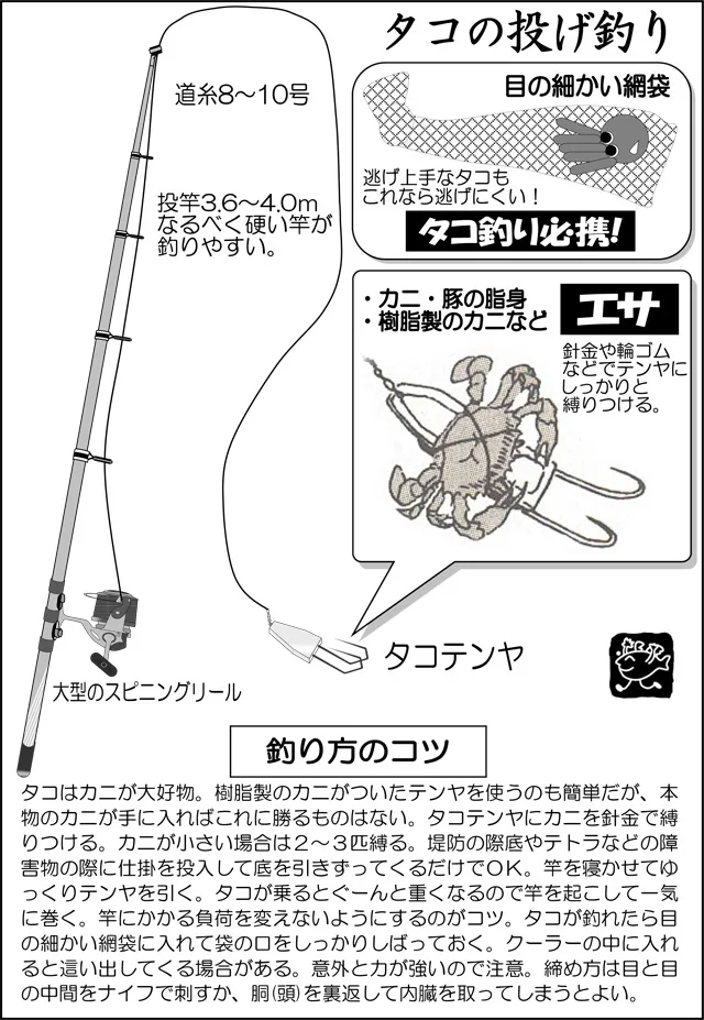 タコの投げ釣り｜釣具のイシグロ |釣り情報サイト